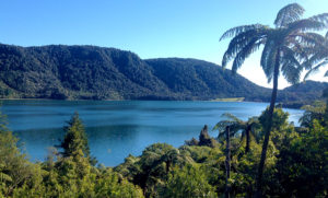 Tikitapu-blue-lake-from-viewpoint-rotorua-newzealand