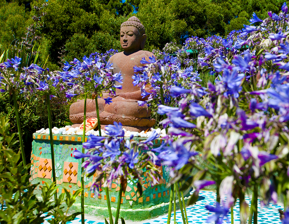 buddha-flowersgoldenbay-shambhala-newzealand-
