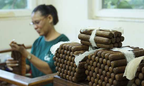 cigarfactory-handrolling-grayclif-nassau-bahamas