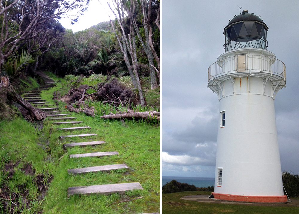 eastcape-lighthouse-trail-newzealand