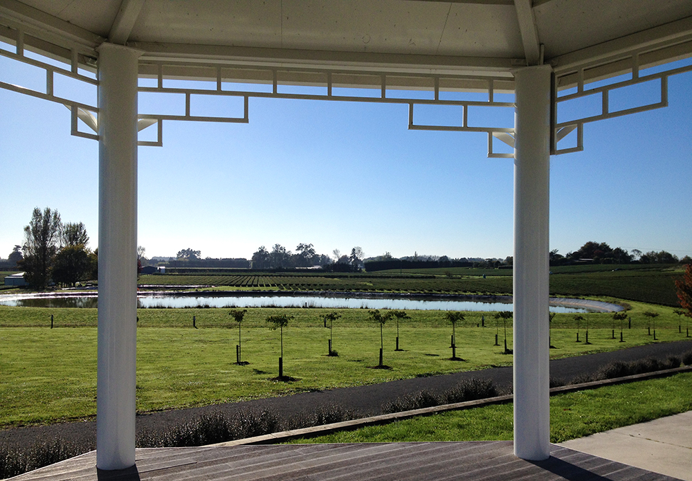 view-of-tea-plantation-zealong-estate-newzealand